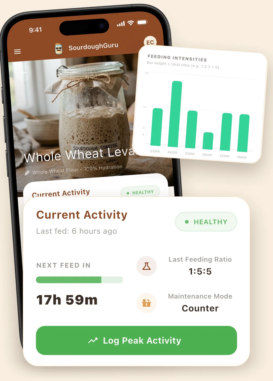 A starter jar with a health card showing the next feed countdown and a feeding chart.