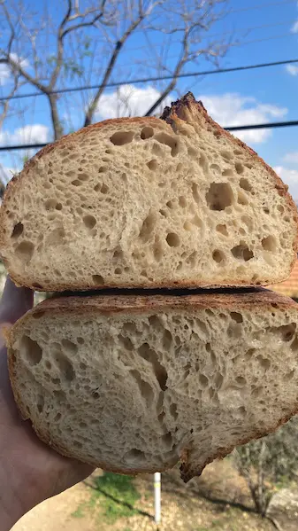 A photo of bread crumb to be used in the animated phone mockup.